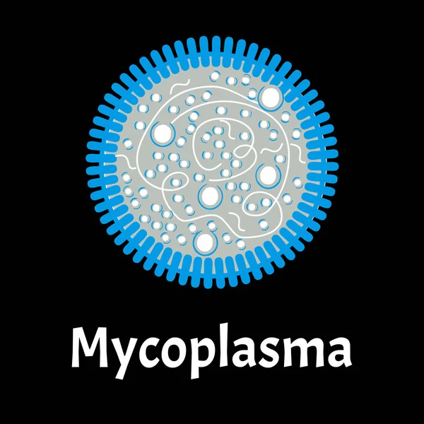 Mycoplasma. Zakażenia bakteryjne Mycoplasma. Choroby przenoszone drogą płciową. Infografika. Ilustracja wektora na pojedynczym tle. — Wektor stockowy