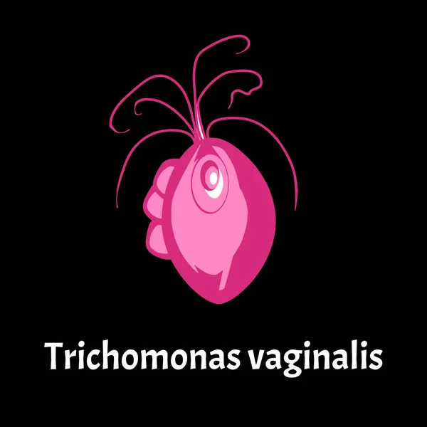 Trichomonas vaginal. Infographie. Illustration vectorielle sur fond isolé . — Image vectorielle
