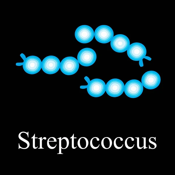 Estructura del estreptococo. Estreptococo bacteriano. Infografías. Ilustración vectorial sobre fondo aislado . — Vector de stock