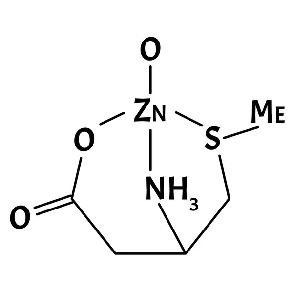 La monometionina di zinco è una formula chimica molecolare. Infografica di zinco. Illustrazione vettoriale su sfondo isolato . — Vettoriale Stock