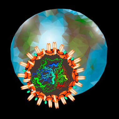 Coronavirus. Çin koronavirüsünün yapısı. Grip virüsü. Grip. Vektör illüstrasyonu.