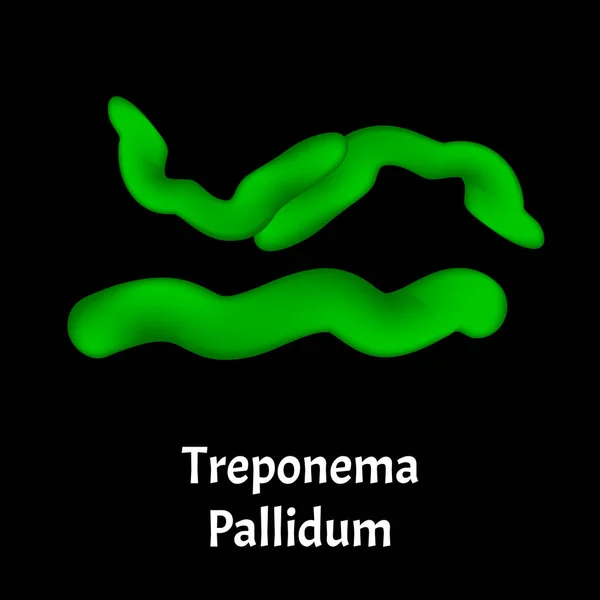 Syphilis. Treponema pallidum, Spirochaetaceae. Bakterielle Infektionen. Sexuell übertragbare Krankheiten. Infografiken. Illustration auf isoliertem Hintergrund. — Stockvektor