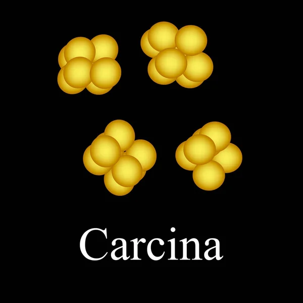 Das Bakterium sarcina. Infografiken. Vektor-Illustration auf isoliertem Hintergrund — Stockvektor