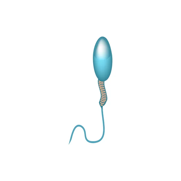 Patologiska former av sperma i ejakulatet. Manlig infertilitet Oligospermi. Spermogram. Spermiedefekter. Infografik. Vektor illustration på isolerad bakgrund. — Stock vektor