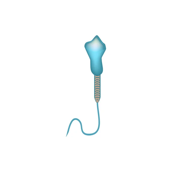 Patologiska former av sperma i ejakulatet. Manlig infertilitet Oligospermi. Spermogram. Spermiedefekter. Infografik. Vektor illustration på isolerad bakgrund. — Stock vektor