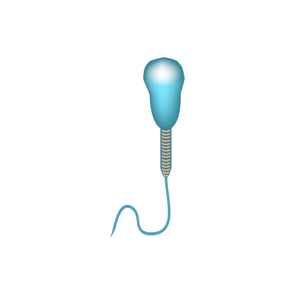 Patologiska former av sperma i ejakulatet. Manlig infertilitet Oligospermi. Spermogram. Spermiedefekter. Infografik. Vektor illustration på isolerad bakgrund. — Stock vektor