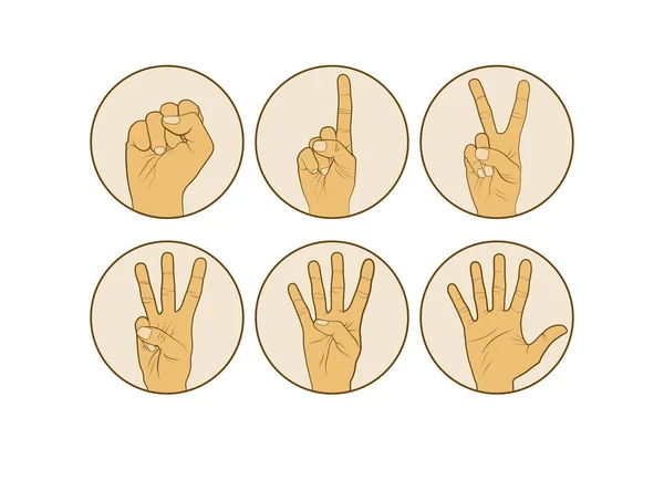 Handen vingers tellen. (0 tot en met 5) geïsoleerd op witte achtergrond — Stockvector