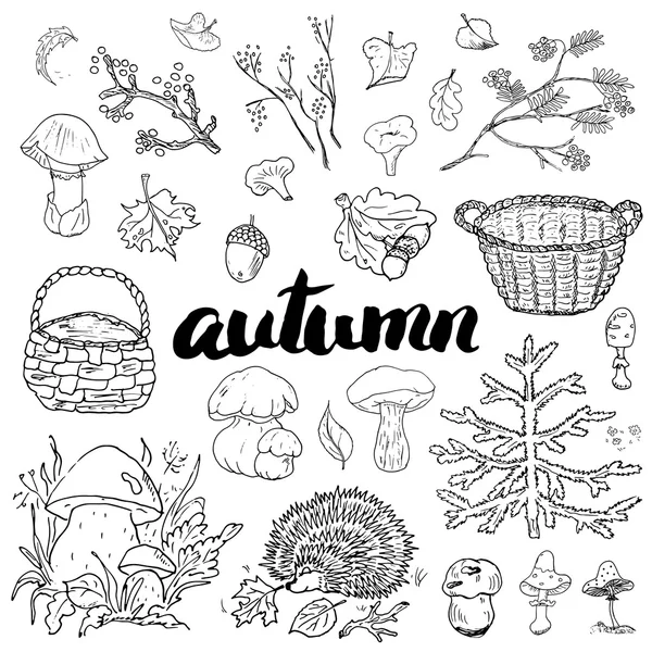 Autumn season set. — Stock Vector