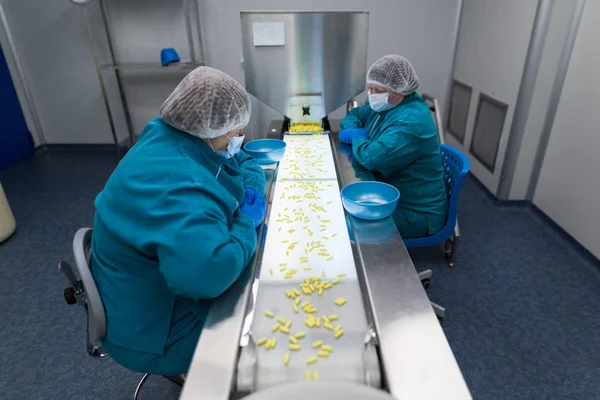 Foto della pianta, donne al lavoro on line — Foto Stock