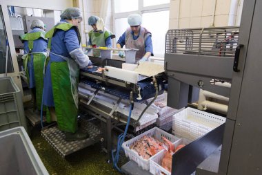 Workers at fish factory clipart