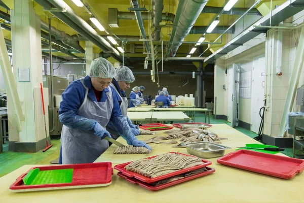 Workers at fish factory — Stock Photo, Image