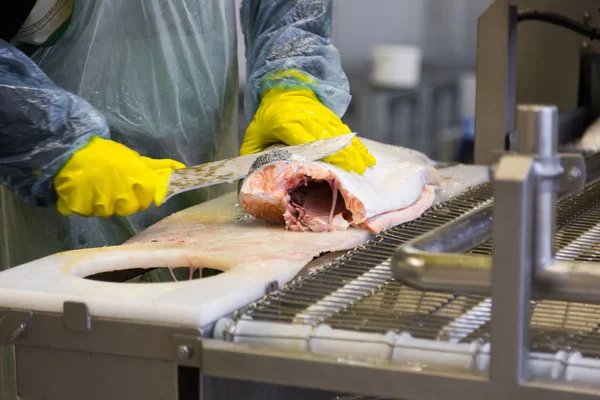 Worker at fish factory — Stock Photo, Image