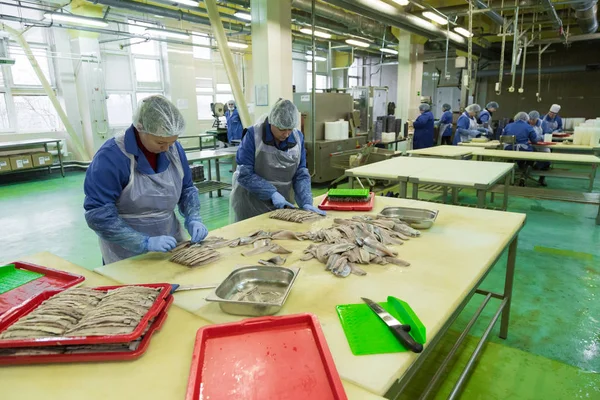 Εργαζόμενοι στο εργοστάσιο ψάρι — Φωτογραφία Αρχείου