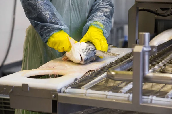 Worker at fish factory — Stock Photo, Image