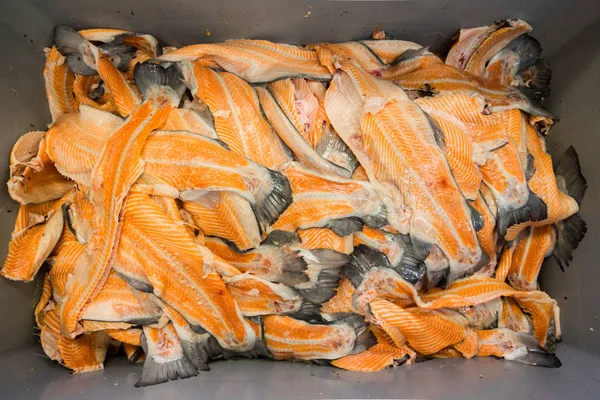 Fresh red fish at tray — Stock Photo, Image