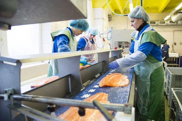Workers at fish factory — Stock Photo, Image
