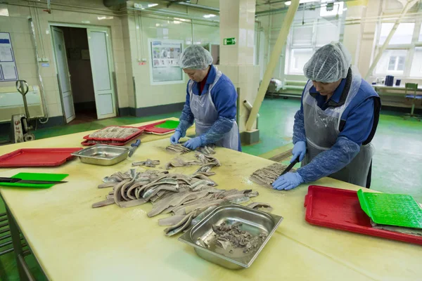 Workers at fish factory — Stock Photo, Image