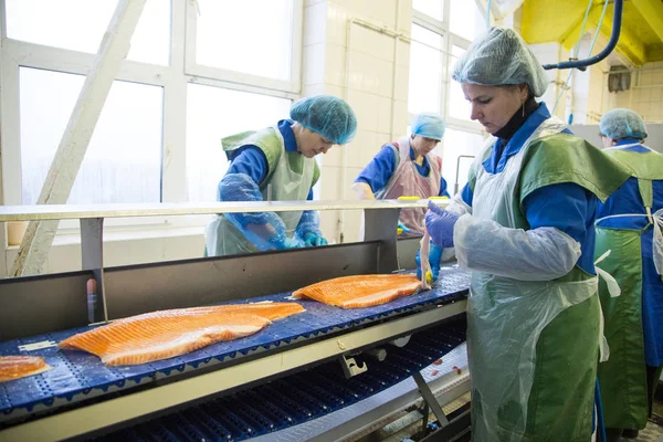 Balık Fabrikası'nda işçi