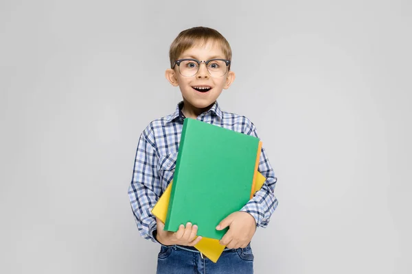 Portret Ładny Mały Chłopiec Okularach Trzymając Kolorowe Foldery Szarym Tle — Zdjęcie stockowe