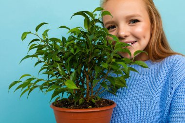 Mavi arka planda saksıyla poz veren küçük kız 