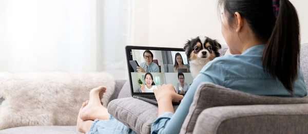 Kanepede oturan Asyalı kadın pankartı ve dizüstü bilgisayarda konuşan ve video konferansında tartışan bir ekip ve köpek müdahalesi. Evden çalışıyor, uzaktan çalışıyor, evcil hayvan kesintisi ve kendini izole ediyor..