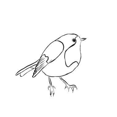 Küçük bir kuş bülbülü (Erithacus rubecula) çizimi. Raster illüstrasyonu beyaz arkaplanda izole edildi.