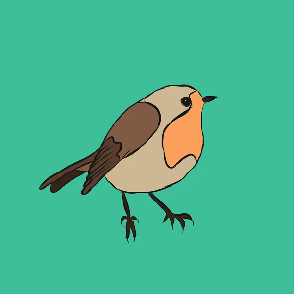 Esbozo Color Pequeño Pájaro Robin Erithacus Rubecula Ilustración Rasterizada Aislada —  Fotos de Stock