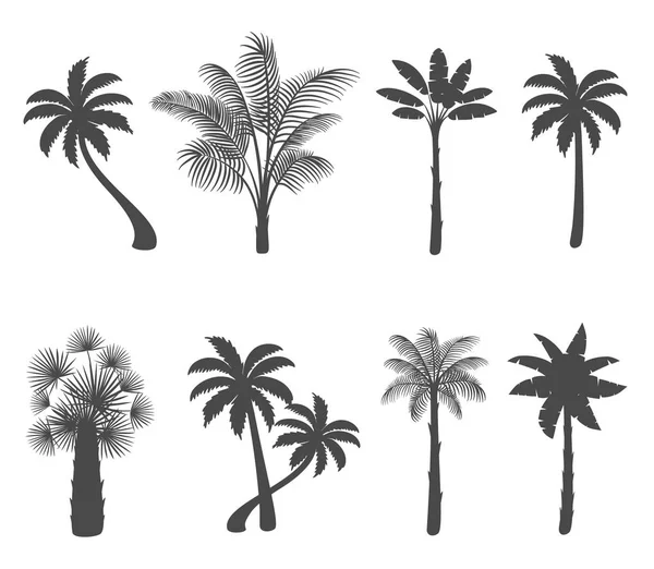 Set Palm Tree Silhouettes White Background Vector Illustration — Stock Vector