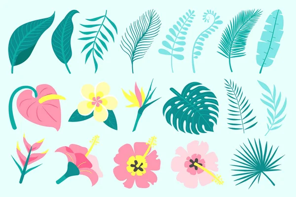 Set Tropischer Blätter Und Blüten Palmblätter Dschungelblätter Philodendron Monstera Vektorillustration — Stockvektor