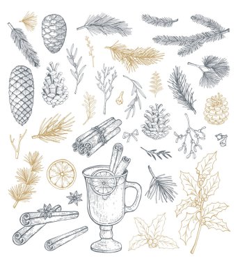 Çam kozalakları ve dallarla el çizimi. Vektör illüstrasyonları