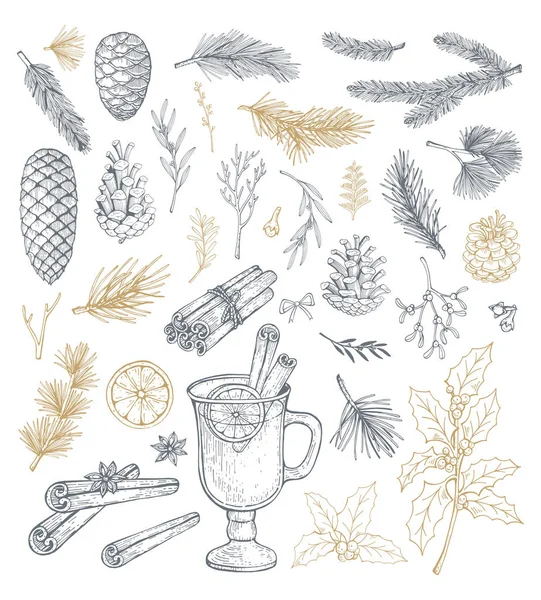 Ensemble dessiné à la main avec des cônes et des branches de pin. Illustrations vectorielles — Image vectorielle