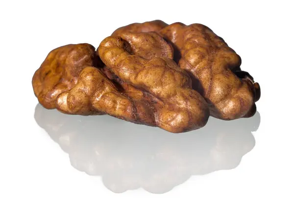 Walnut kernel with reflection — Stock Photo, Image