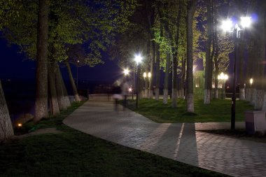 Park gece silhouettes