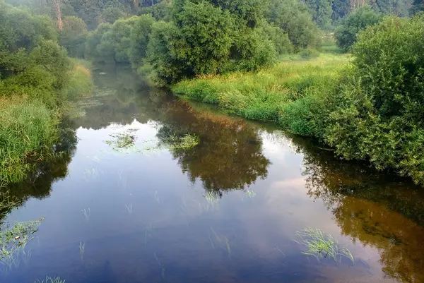 Lato rano river mist — Zdjęcie stockowe