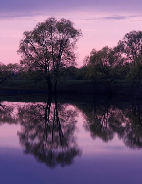 Solnedgången dammen träd reflektioner — Stockfoto