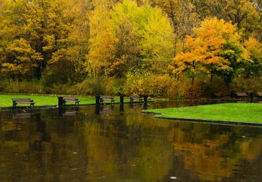 Sonbahar Park yağmur
