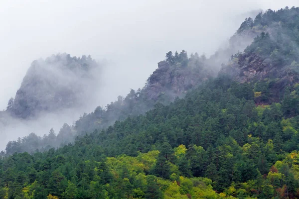 Montañas niebla de otoño —  Fotos de Stock