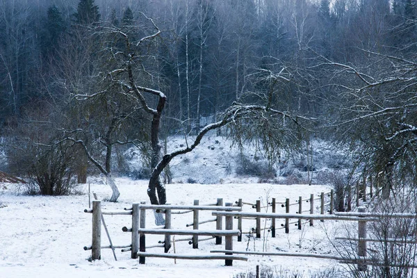 Winterwald Holzzaun — Stockfoto