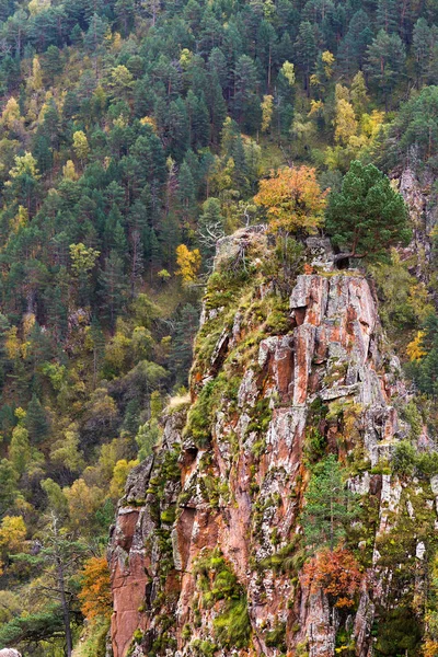 Mountains Autumn Landscape Descents Covered Forest Green Yellow Foliage Rock — Stock Photo, Image