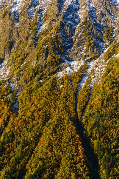 Natureza Outono Fundo Colorido Encostas Montanha Cobertas Neve Floresta Com — Fotografia de Stock