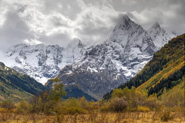 Sonbahar Kafkas Dağları manzara: vadi tarafından sarı yapraklar ve kar ve arka planda bulutlu gökyüzü kaplı tepeler ormanıyla kaplı yamaçlar ile kuru sarı bitkiler tarafından kapalı.