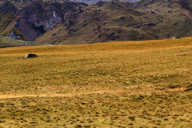 sonbahar dağ manzarası