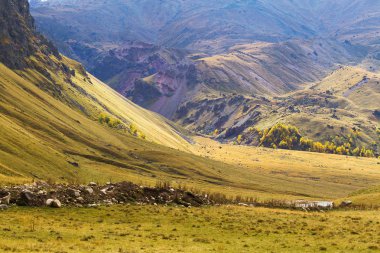 sonbahar dağ manzarası