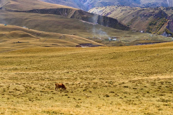 Höstens bergslandskap — Stockfoto