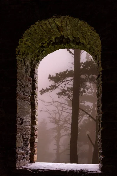 Mist forest trees stone window — Stock Photo, Image