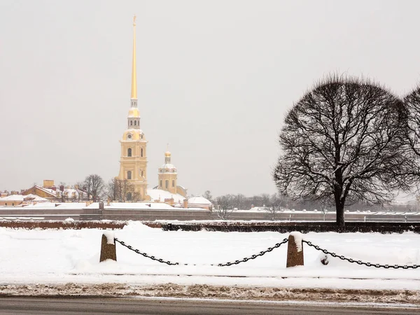 Monument Touristique Saint Pétersbourg Russie Forteresse Cathédrale Pierre Paul Par — Photo