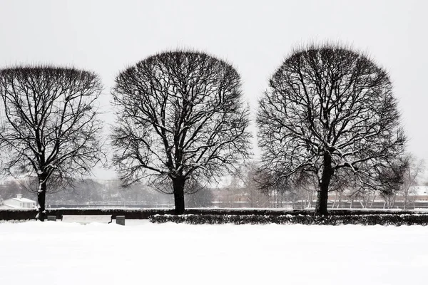 Touristisches Wahrzeichen Sankt Petersburg Russland Die Vom Schnee Bedeckte Landzunge — Stockfoto