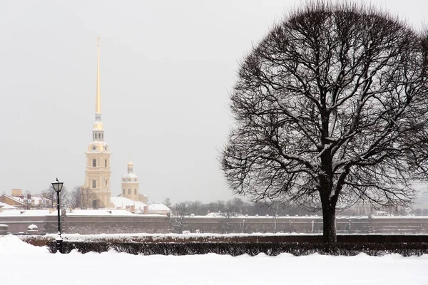 Saint Petersburg, Rusya'nın turistik landmark: Peter ve Paul fortress ve katedral bir kış günü kar çok ile tarafından.