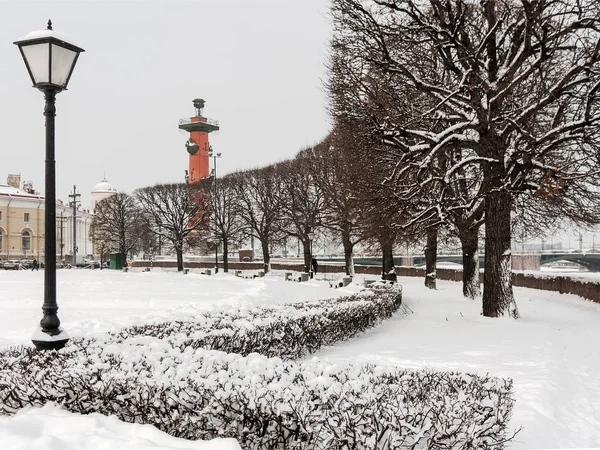 Saint Petersburg, Rusya'nın turistik landmark: rostral sütun ve bir park siluetleri, ağaç ve bir kış günü kar çok ile tarafından Vasilievsky adasında fener ile.