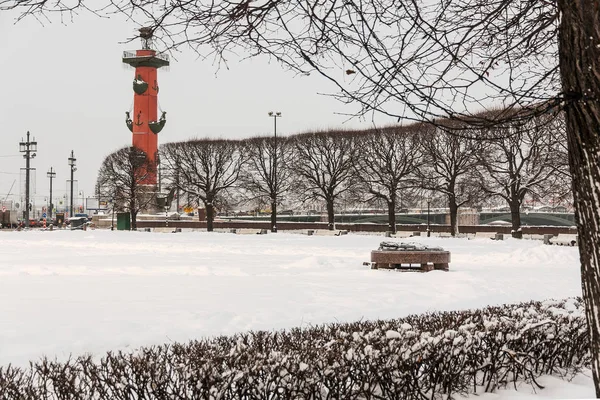 Toeristische Trekpleister Sint Petersburg Rusland Rostraal Kolom Een Park Met — Stockfoto